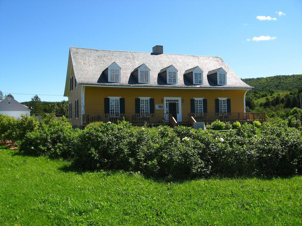 Motel Le Noroit L'Anse-au-Griffon Bagian luar foto